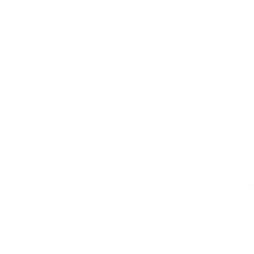 Expert Installation Team