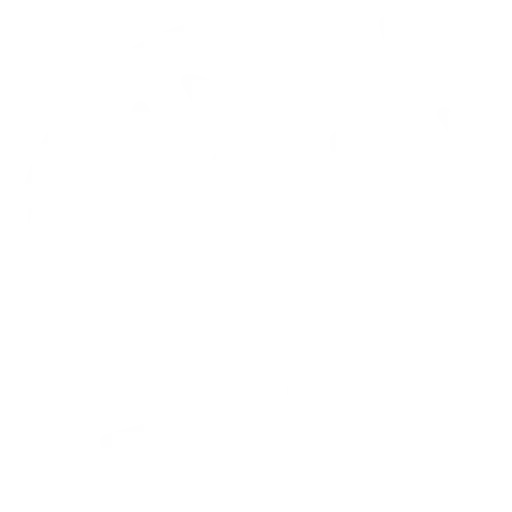 Fast & Professional Installation