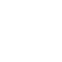 Skilled Installation Team