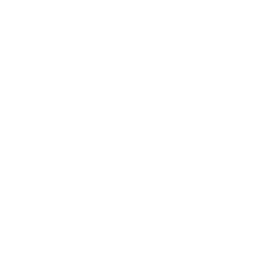 Suitable for Residential & Commercial Spaces Carpet