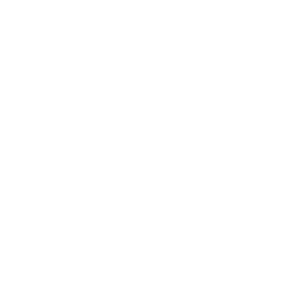 Custom Solutions Available