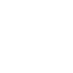 Customer Satisfaction