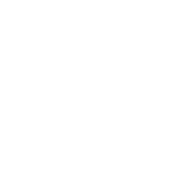 Customizable Designs