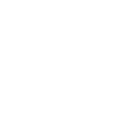 Competitive Pricing with High Quality