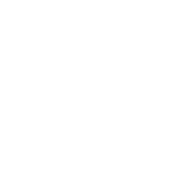 Satisfied Clients Across UAE