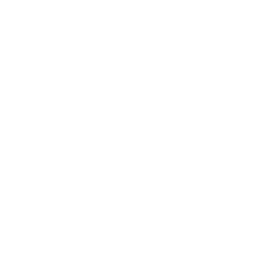 Custom Rug Solutions