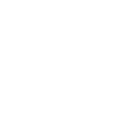 Professional Carpet Installation